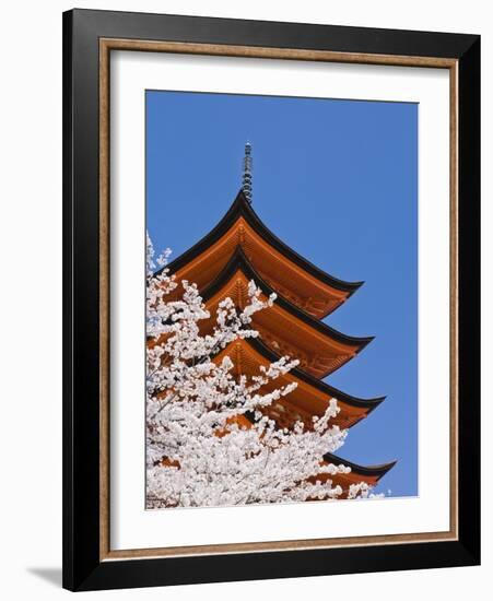 Cherry Blossoms at Itsukushima Jinja Shrine-Rudy Sulgan-Framed Photographic Print