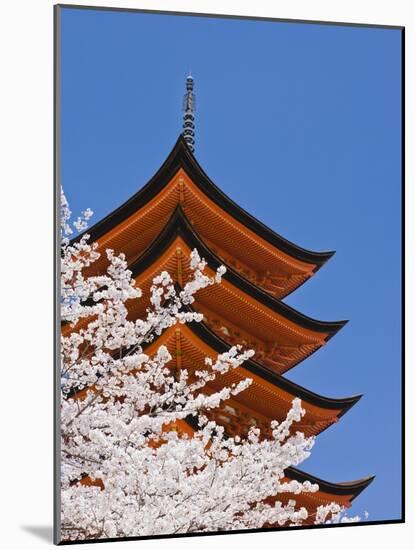 Cherry Blossoms at Itsukushima Jinja Shrine-Rudy Sulgan-Mounted Photographic Print