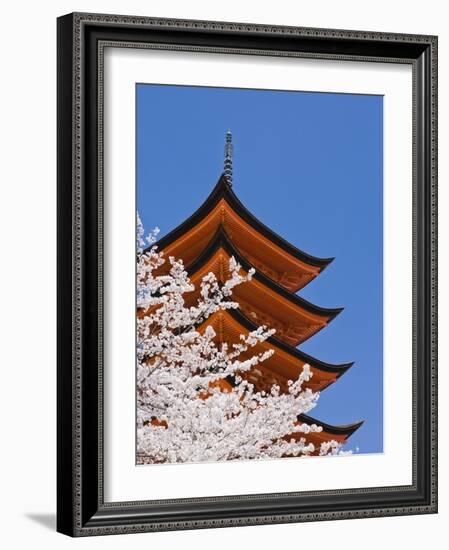 Cherry Blossoms at Itsukushima Jinja Shrine-Rudy Sulgan-Framed Photographic Print