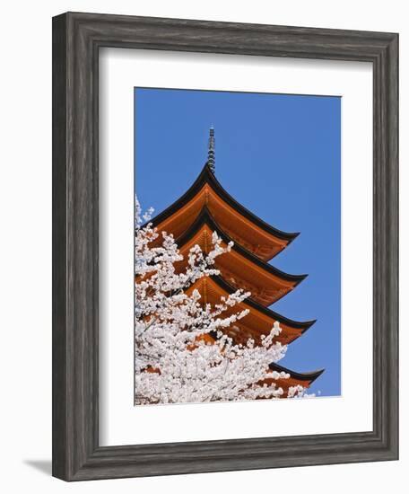 Cherry Blossoms at Itsukushima Jinja Shrine-Rudy Sulgan-Framed Photographic Print