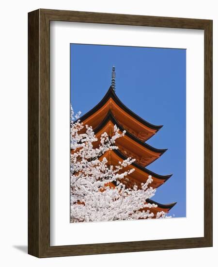 Cherry Blossoms at Itsukushima Jinja Shrine-Rudy Sulgan-Framed Photographic Print