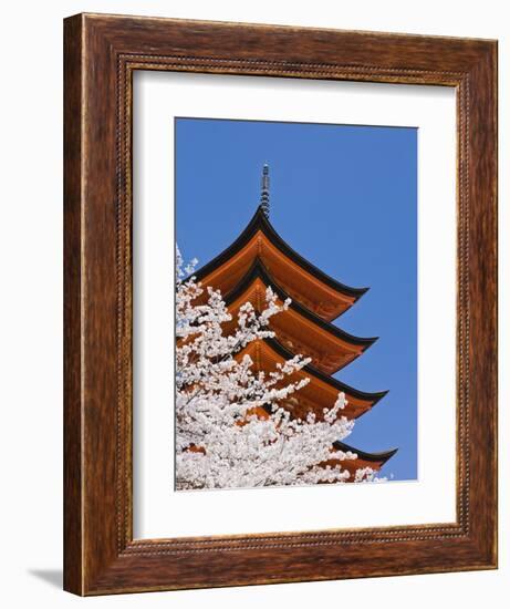 Cherry Blossoms at Itsukushima Jinja Shrine-Rudy Sulgan-Framed Photographic Print