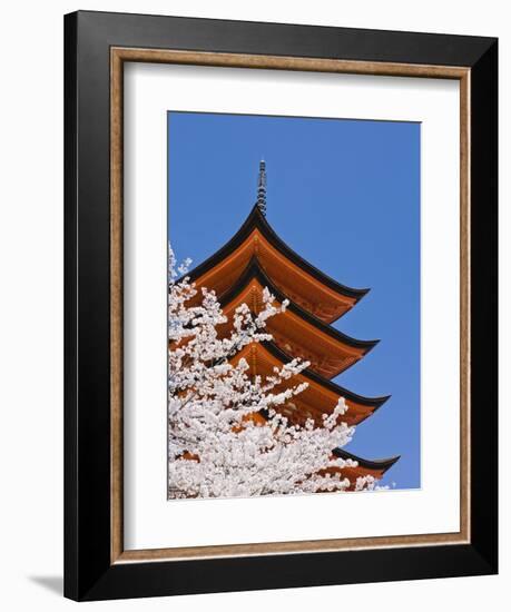 Cherry Blossoms at Itsukushima Jinja Shrine-Rudy Sulgan-Framed Photographic Print