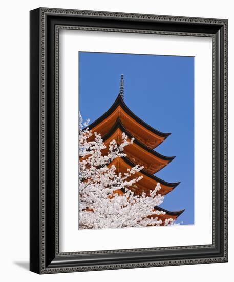 Cherry Blossoms at Itsukushima Jinja Shrine-Rudy Sulgan-Framed Photographic Print