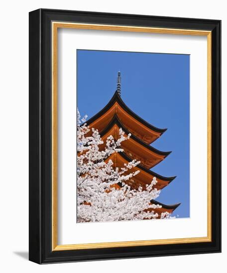 Cherry Blossoms at Itsukushima Jinja Shrine-Rudy Sulgan-Framed Photographic Print