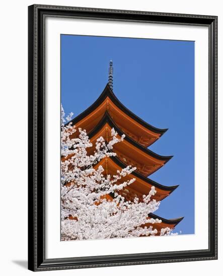 Cherry Blossoms at Itsukushima Jinja Shrine-Rudy Sulgan-Framed Photographic Print