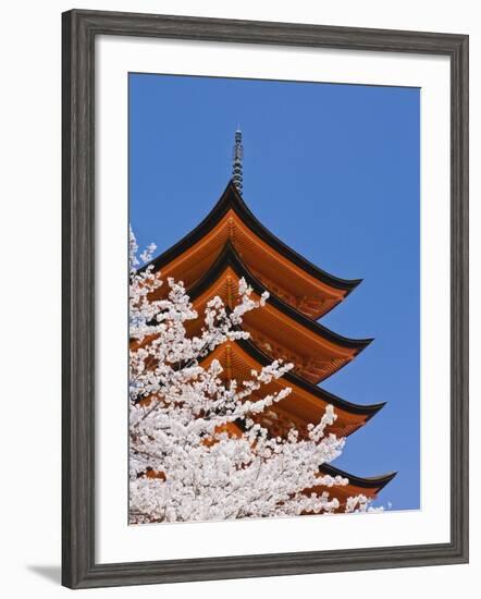 Cherry Blossoms at Itsukushima Jinja Shrine-Rudy Sulgan-Framed Photographic Print