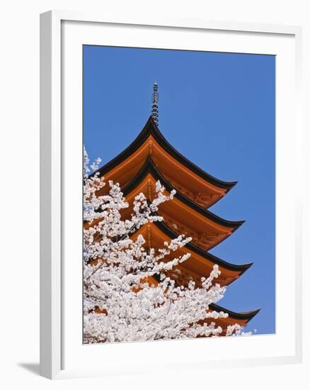 Cherry Blossoms at Itsukushima Jinja Shrine-Rudy Sulgan-Framed Photographic Print