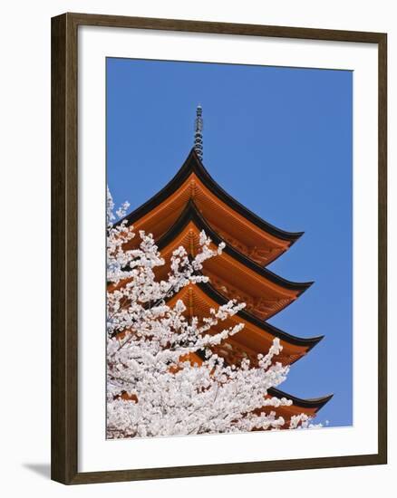 Cherry Blossoms at Itsukushima Jinja Shrine-Rudy Sulgan-Framed Photographic Print