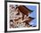 Cherry Blossoms at Itsukushima Jinja Shrine-Rudy Sulgan-Framed Photographic Print