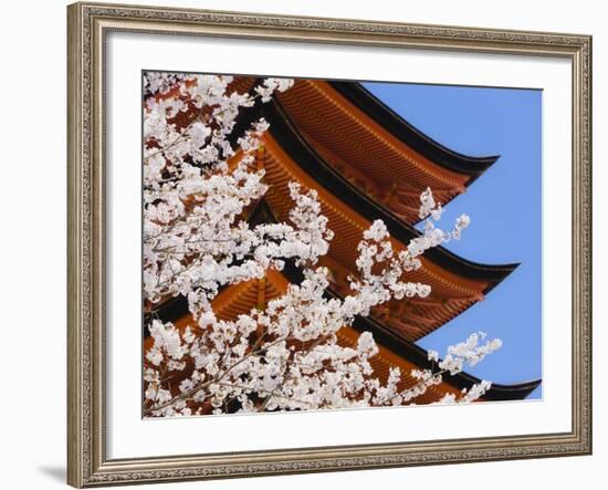 Cherry Blossoms at Itsukushima Jinja Shrine-Rudy Sulgan-Framed Photographic Print