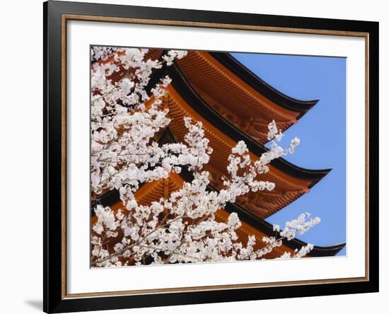 Cherry Blossoms at Itsukushima Jinja Shrine-Rudy Sulgan-Framed Photographic Print