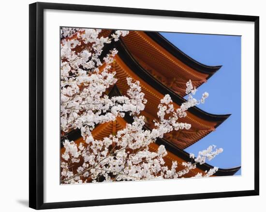 Cherry Blossoms at Itsukushima Jinja Shrine-Rudy Sulgan-Framed Photographic Print