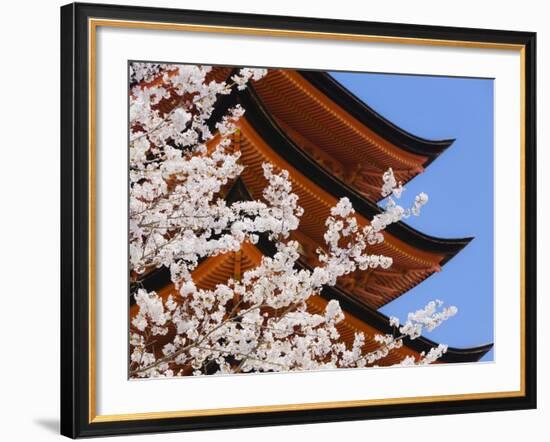 Cherry Blossoms at Itsukushima Jinja Shrine-Rudy Sulgan-Framed Photographic Print