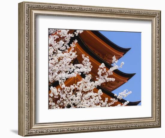 Cherry Blossoms at Itsukushima Jinja Shrine-Rudy Sulgan-Framed Photographic Print