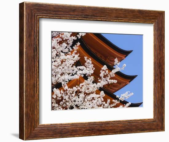 Cherry Blossoms at Itsukushima Jinja Shrine-Rudy Sulgan-Framed Photographic Print