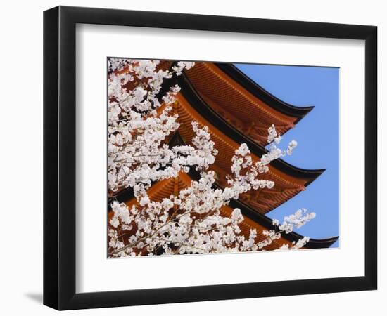 Cherry Blossoms at Itsukushima Jinja Shrine-Rudy Sulgan-Framed Photographic Print