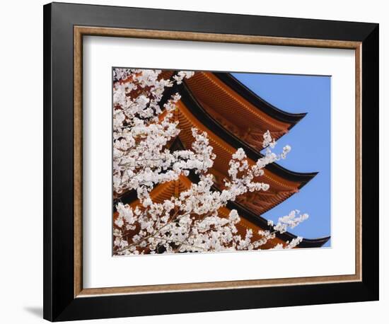 Cherry Blossoms at Itsukushima Jinja Shrine-Rudy Sulgan-Framed Photographic Print