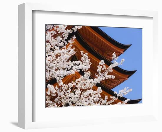 Cherry Blossoms at Itsukushima Jinja Shrine-Rudy Sulgan-Framed Photographic Print