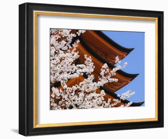 Cherry Blossoms at Itsukushima Jinja Shrine-Rudy Sulgan-Framed Photographic Print