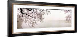 Cherry Blossoms at the Lakeside, Washington DC, USA-null-Framed Photographic Print