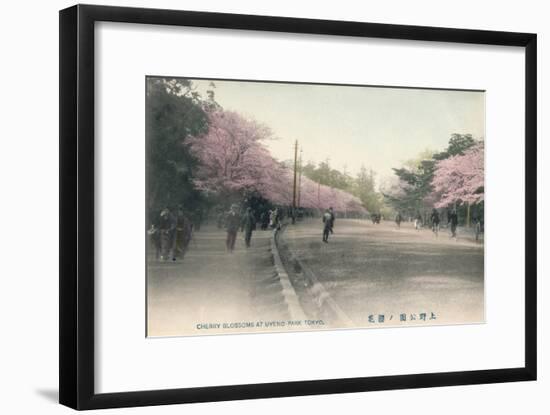 'Cherry Blossoms At Uyeno Park Tokyo', c1910-Unknown-Framed Giclee Print