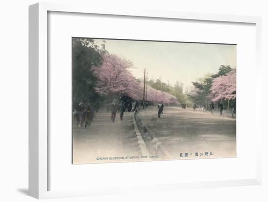 'Cherry Blossoms At Uyeno Park Tokyo', c1910-Unknown-Framed Giclee Print