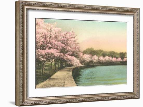 Cherry Blossoms by Tidal Basin-null-Framed Art Print