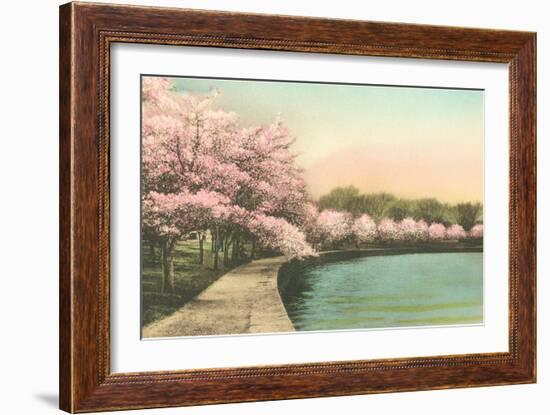 Cherry Blossoms by Tidal Basin-null-Framed Art Print