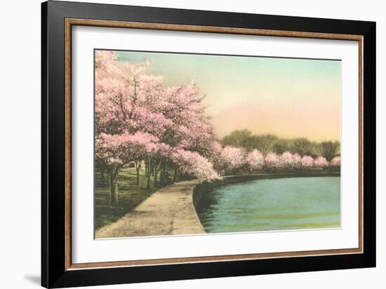 Cherry Blossoms by Tidal Basin-null-Framed Art Print