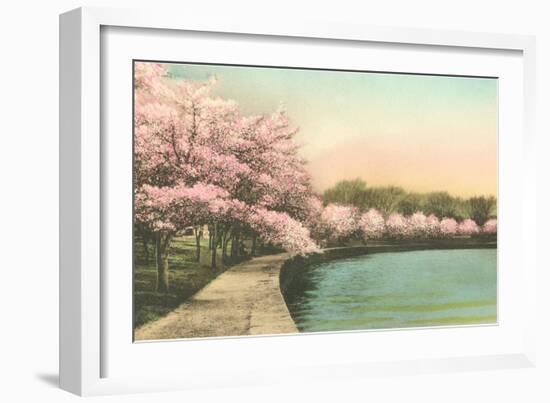 Cherry Blossoms by Tidal Basin-null-Framed Art Print