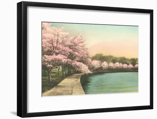 Cherry Blossoms by Tidal Basin-null-Framed Art Print