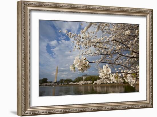 Cherry Blossoms Decorate Trees Around Tidal Basin In Washington DC; Washington Monument Stands Bkgd-Karine Aigner-Framed Photographic Print