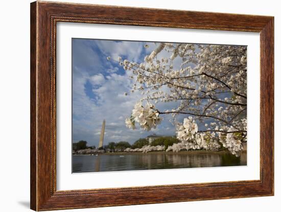 Cherry Blossoms Decorate Trees Around Tidal Basin In Washington DC; Washington Monument Stands Bkgd-Karine Aigner-Framed Photographic Print