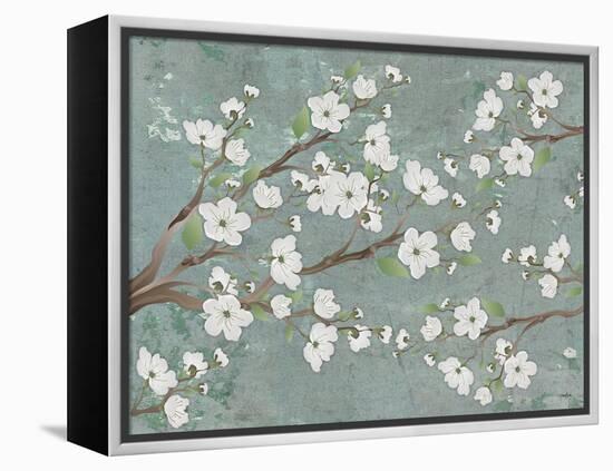 Cherry Blossoms Gray-Diane Stimson-Framed Stretched Canvas