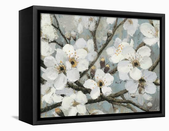 Cherry Blossoms I Blue Crop-James Wiens-Framed Stretched Canvas