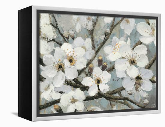 Cherry Blossoms I Blue Crop-James Wiens-Framed Stretched Canvas