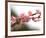 Cherry Blossoms I-Joy Doherty-Framed Giclee Print