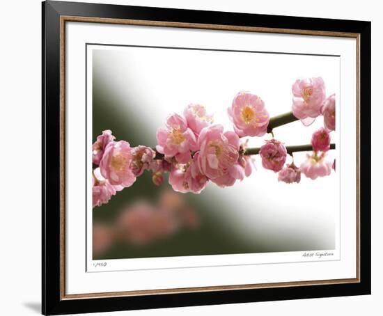 Cherry Blossoms I-Joy Doherty-Framed Giclee Print