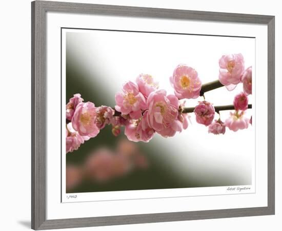 Cherry Blossoms I-Joy Doherty-Framed Giclee Print