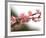 Cherry Blossoms I-Joy Doherty-Framed Giclee Print