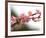 Cherry Blossoms I-Joy Doherty-Framed Giclee Print