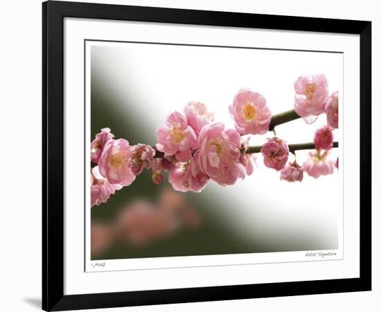 Cherry Blossoms I-Joy Doherty-Framed Giclee Print