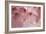 Cherry Blossoms I-Rita Crane-Framed Art Print