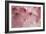 Cherry Blossoms I-Rita Crane-Framed Art Print