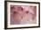 Cherry Blossoms I-Rita Crane-Framed Art Print