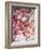 Cherry Blossoms I-Susan Bryant-Framed Photographic Print