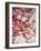 Cherry Blossoms I-Susan Bryant-Framed Photographic Print