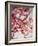 Cherry Blossoms I-Susan Bryant-Framed Photographic Print