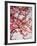 Cherry Blossoms I-Susan Bryant-Framed Photographic Print